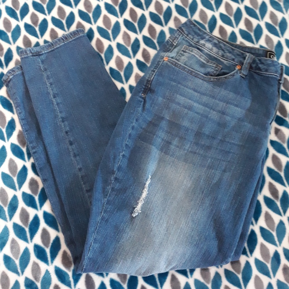 Cato Premium Plus Size Distressed Classic Jeans